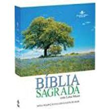 Bíblia sagrada com letra maior nova tradução na linguagem de hoe