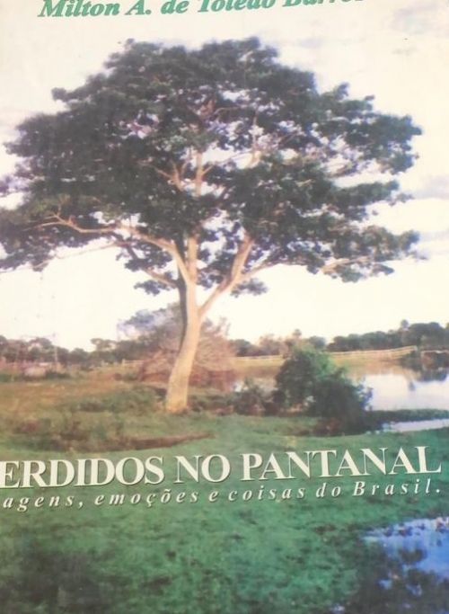 perdidos no pantanal viagens, emoções e coisas do brasil